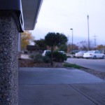 img_9854